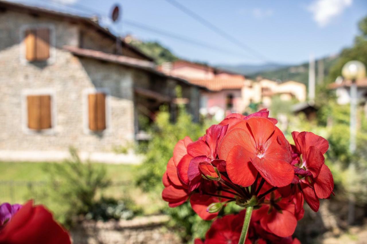 B&B La Casa D'Artista Ortignano Raggiolo Bagian luar foto