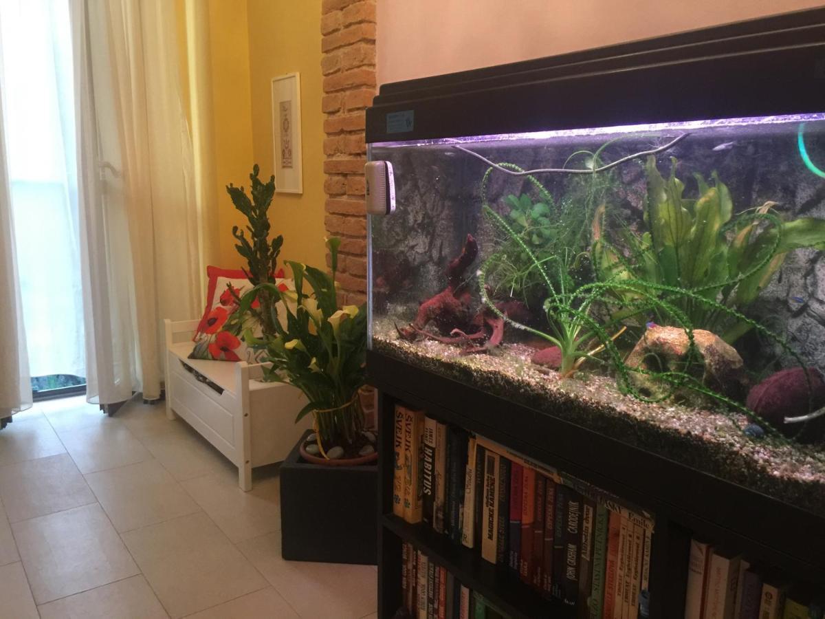 B&B La Casa D'Artista Ortignano Raggiolo Bagian luar foto